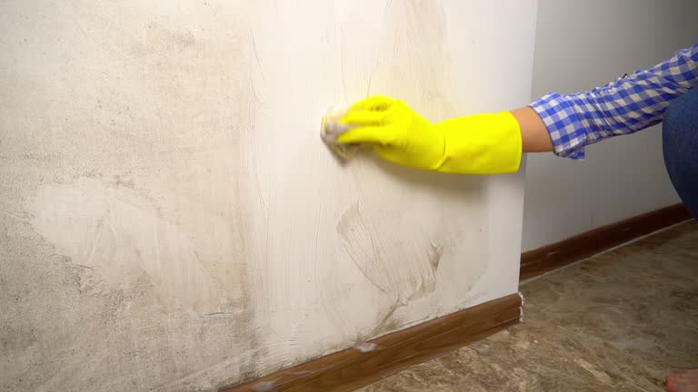 Mold Remediation for Rental Properties in Montgomery, OH